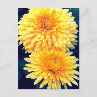 Carte Postale Marigold jaune