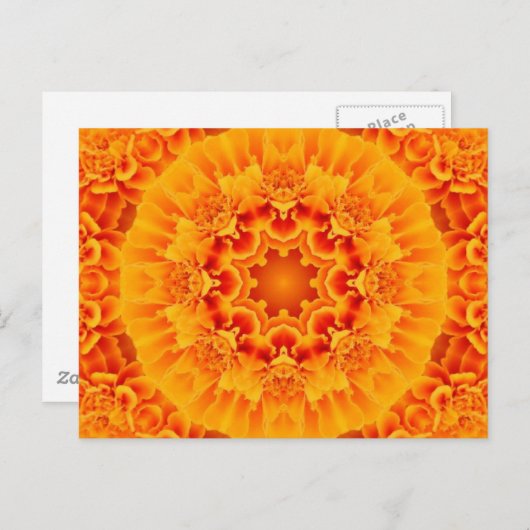 Carte Postale Marigold Mandala (Devant / Derrière)