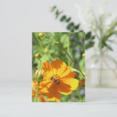 Carte Postale Marigolds w. Bee # 2 (Debout devant)