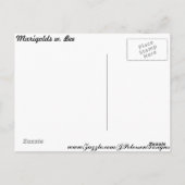 Carte Postale Marigolds w. Bee # 2 (Dos)