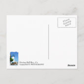 Carte postale Marina Del Rey ! (Dos)