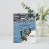 Carte postale Marina Del Rey Belicans ! (Debout devant)