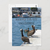 Carte postale Marina Del Rey Belicans ! (Devant / Derrière)