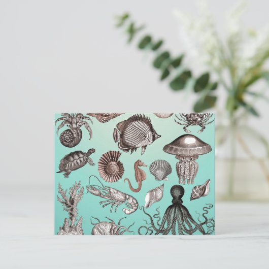 Carte Postale Marine (Debout devant)