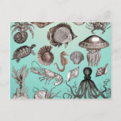 Carte Postale Marine (Devant)