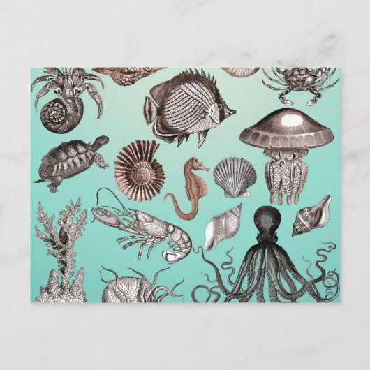 Carte Postale Marine (Devant)