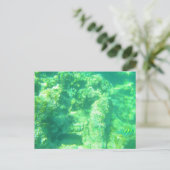 CARTE POSTALE MARINE CARRIBÉENNE 13 (Debout devant)