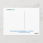 CARTE POSTALE MARINE CARRIBÉENNE 15 (Dos)