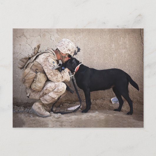 Carte Postale Marine et son chien (Devant)