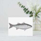 Carte Postale Marine européenne (Debout devant)