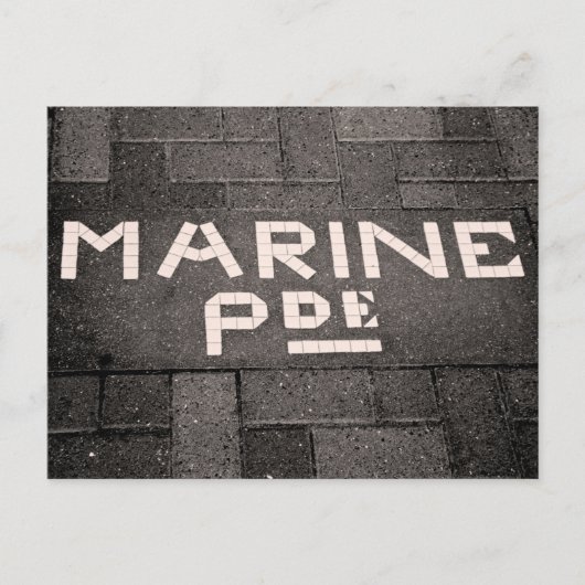Carte Postale Marine Parade, Napier, Nouvelle-Zélande (Devant)