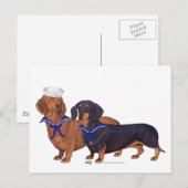 Carte Postale Marins Dachshund (Devant / Derrière)