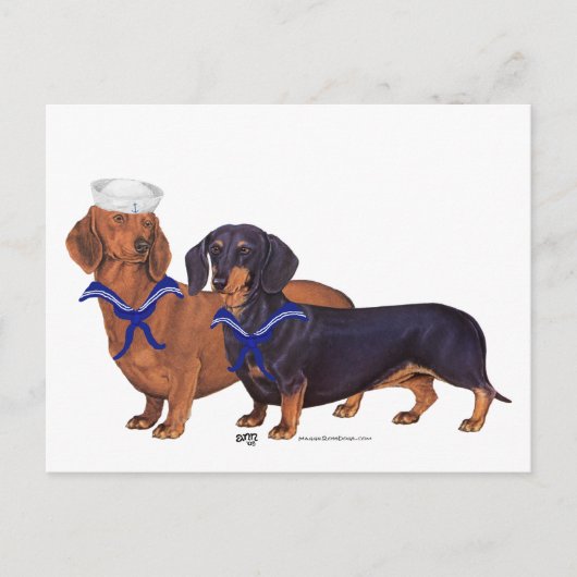 Carte Postale Marins Dachshund (Devant)