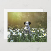 Carte Postale Marionnette dalmate mignonne dans les marguerites (Devant / Derrière)