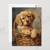 Carte Postale Marionnette d'or rétriever dans un panier (Devant / Derrière)