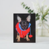 Carte Postale Marionnette en laine (Debout devant)