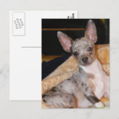 Carte Postale Marley~Classe & Colliage couleur (Devant / Derrière)