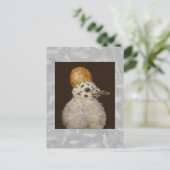 Carte postale Marley the baby seagull (Debout devant)