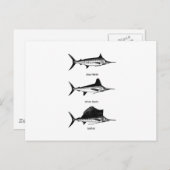 Carte Postale Marlin Blanc - Marlin Bleu - Logo de Sailfish (Devant / Derrière)