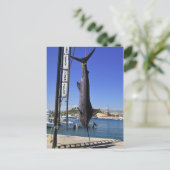 Carte Postale Marlin du Mexique (Debout devant)