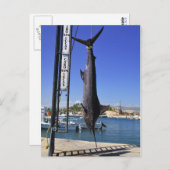 Carte Postale Marlin du Mexique (Devant / Derrière)