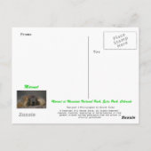 Carte Postale Marmot (Dos)