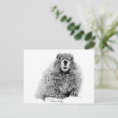 Carte Postale Marmot (Debout devant)