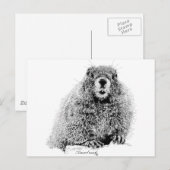 Carte Postale Marmot (Devant / Derrière)