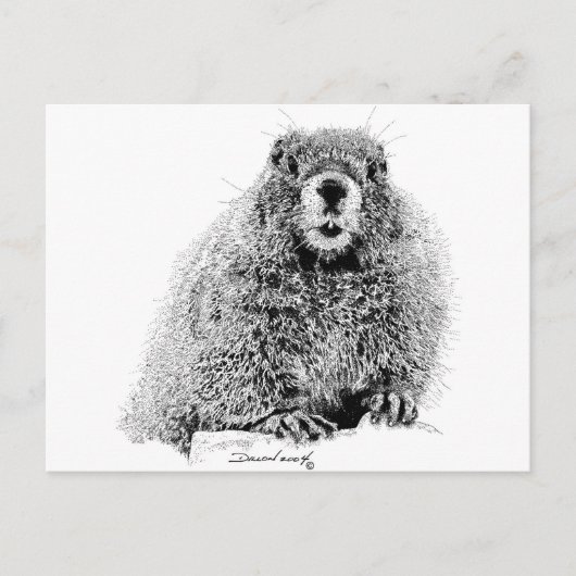 Carte Postale Marmot (Devant)