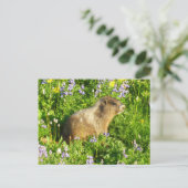 Carte Postale Marmot dans le Mont Rainier Fleurs sauvages (Debout devant)