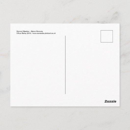 Carte postale Marmot Meadow (Dos)
