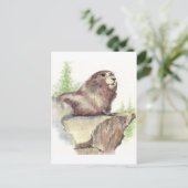 Carte Postale Marmotte mignonne, Nature animale, Aquarelle de la (Debout devant)