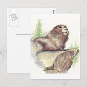 Carte Postale Marmotte mignonne, Nature animale, Aquarelle de la (Devant / Derrière)