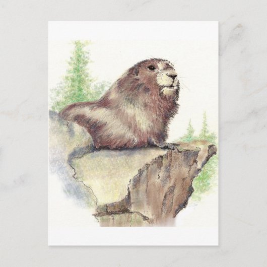 Carte Postale Marmotte mignonne, Nature animale, Aquarelle de la (Devant)