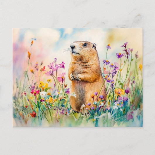 Carte Postale Marmotte sur un tableau d'aquarelle de prairie fle (Devant)