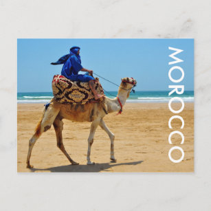 Carte Postale maroc arab ride chameau plage