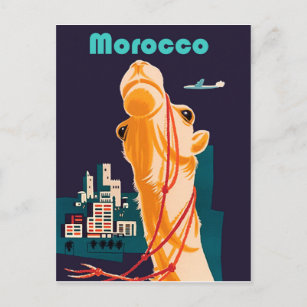 Carte Postale Maroc, chameau devant la ville, vintage