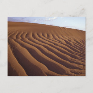 Carte Postale Maroc, Tinfou près de Zagora), Dunes de sable,