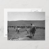 Carte Postale Marquage de cow-boys (Devant / Derrière)