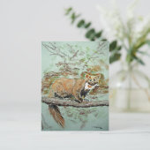 Carte Postale Marque de hêtre (Debout devant)