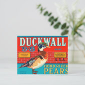 Carte Postale Marque Duckwall (Debout devant)
