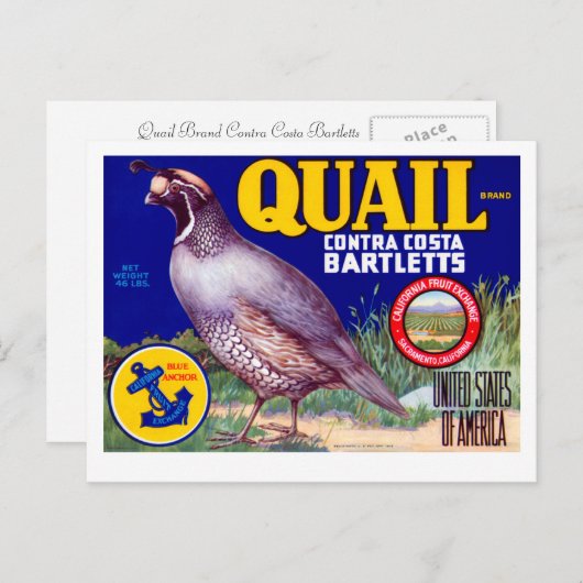 Carte Postale Marque Quail Contra Costa Bartletts (Devant / Derrière)