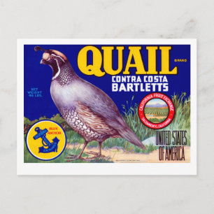 Carte Postale Marque Quail Contra Costa Bartletts