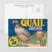 Carte Postale Marque Quail Contra Costa Bartletts (Devant / Derrière)