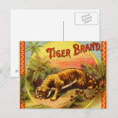 Carte Postale Marque Tiger 1900 (Devant / Derrière)