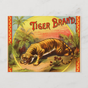 Carte Postale Marque Tiger 1900