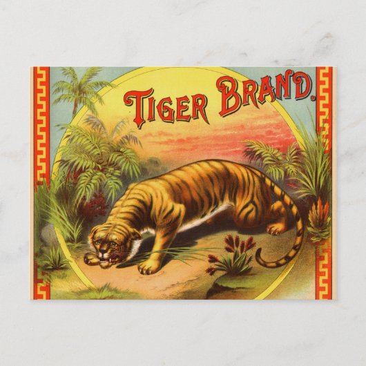 Carte Postale Marque Tiger 1900 (Devant)