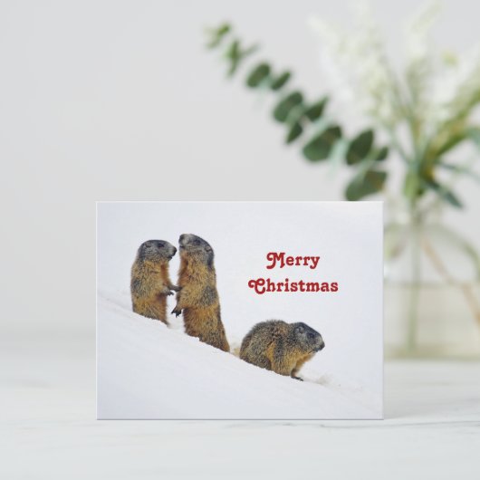 Carte Postale Marques de neige Noël (Debout devant)