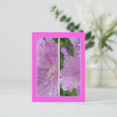 CARTE POSTALE MARQUES-PAGES ROSE MALLOW (Debout devant)