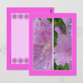 CARTE POSTALE MARQUES-PAGES ROSE MALLOW (Devant / Derrière)